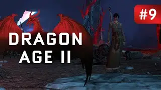 Dragon Age II #9