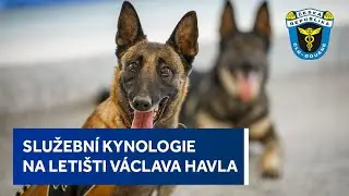 Priority Celní správy ČR na letištích