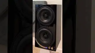 Unboxing Dayton Opal 1 Speaker