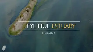 Tylihul Estuary 4K Beauty of Ukraine