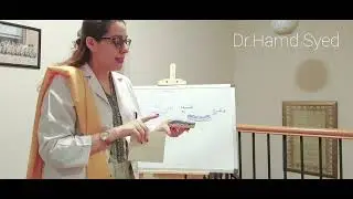 Trilaminar Germ Disc Explained on  a Three-Dimensional Clay Model