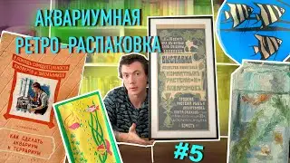 Выставка аквариумов 1905 г /  Монпансье со Скаляриями / Аквариум неизвестного художника / Иванченко