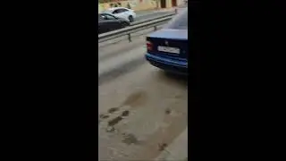 утренняя прогулка