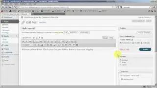 WordPress Beginner: Blogging Part 2