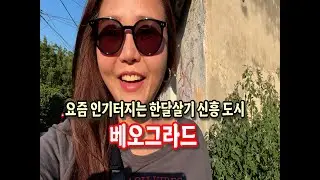 🇷🇸떠오르는 한달살기 도시 베오그라드! 스페인 기후에 북유럽피지컬 사람들이 사는곳 #serbia #beograd #한달살기 #세계여행