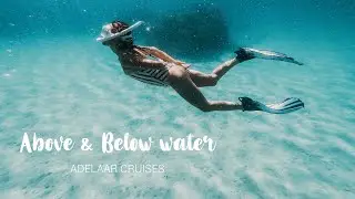Above & Below water ACTIVITIES on a LIVEABOARD - Adelaar Sailboat