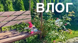 ВЛОГ. Что привезла из Воронежа и что купила в Москве)