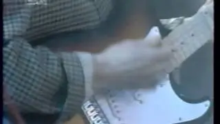 НАШЕСТВИЕ ЭМБРИОНОВ - МУХОМОРИЩЕ