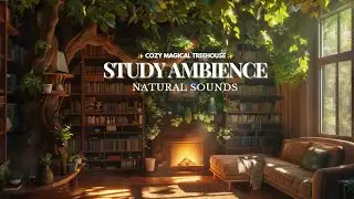 Retreat to an ENCHANTED Forest Library 🌳📚 | Ultimate Relaxation Escape
