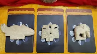 Messages from the Universe 🕊️☮️🕉️🙏 TIMELESS Tarot & Oracle Prediction and Guidance