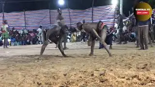 Premier Demi-finale Aliou Petit Avion Ô Ndiaye Amy Lamb Thiomby Sakh Maak