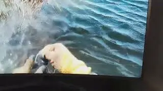 Ловля сома ранней весной на закидушки