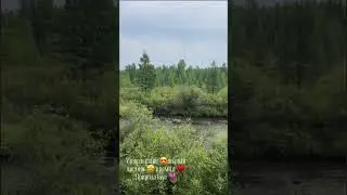 Айыл5а кэрэтиэн🌿💗🙌🏼