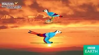Top 5 Prehistoric Birds