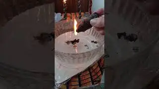 чистка всех членов семьи. от магии.