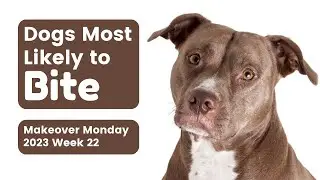 Dogs of New York: Where are you most likely to get bitten?