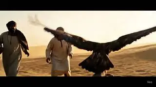 :🦅 Horrifying Eagle Attack on Baby Goat – Real Wild Footage! 😱