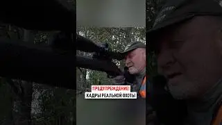 Охота на косулю с треноги / Выстрел на 353 метра 