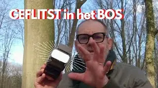 MACROFOTOGRAFIE in het BOS: bosanemonen fotograferen met een FLITSER en de “ZON OVERPOWEREN”