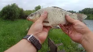 Шок рыбалка.В место карася на донки ловилась щука.