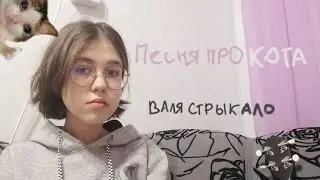 Песня про кота-Валентин Стрыкало(недокавер)