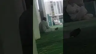 بيوت الله
