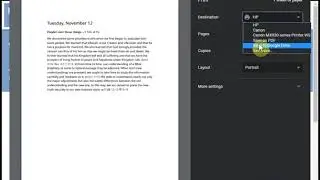Google Chrome Change Printer