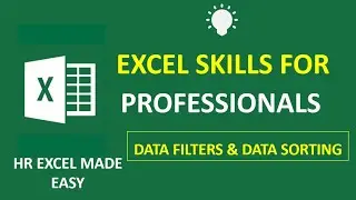 Excel Skill For Professionals - Data Filters & Data Sorting In Microsoft Excel
