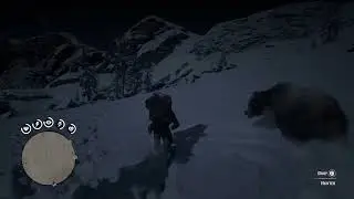 Red Dead Redemption 2 - Saving Hunter (Cairn Lake encouter)