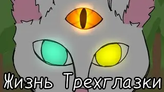 ~claws in the night~ call MAP Threeeye(4/34)