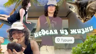 мои турецкие будни