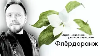 Fleur d'Oranger / Orange Blossom Флёрдоранж и Оранж Блоссом - ТОП 3 фаворита