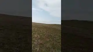 #zhurek