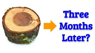 Log Drying Timelapse