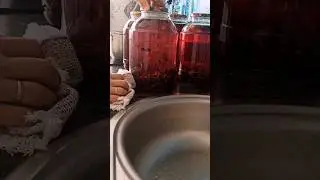 Компот из дикой смородины на зиму #компот #компотназиму #компотик