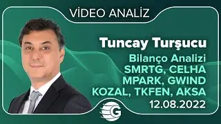 Balance Sheet Analysis: SMRTG, CELHA, MPARK, GWIND, KOZAL, TKFEN, AKSA / Tuncay TURŞUCU
