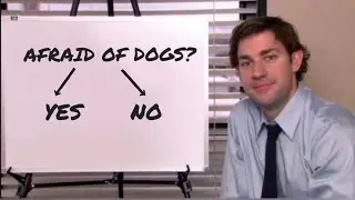 What do Chandler and Sheldon have in common?