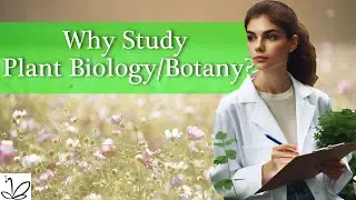 Why Study Botany? (Updated 2024)