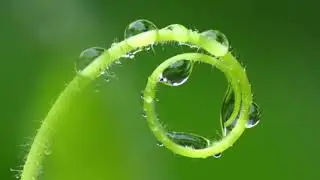 Worship Songs with Lyrics
