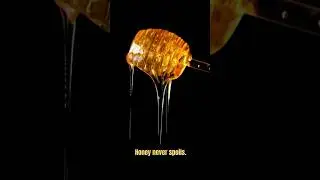 HONEY FACT. #honey #shorts #facts #didyouknow #amazingfacts #viralshorts  #reels
