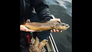 TROUT IN LAKES | How To