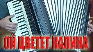 Ой цветет калина на аккордеоне Аккордеонист (аккордеон Кавер)
