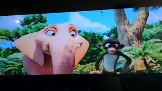 Le rythme de la jungle bande annonce