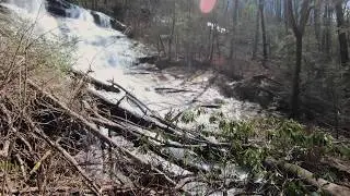 Panther Creek Falls Winter 2020