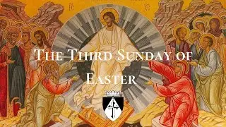 April 26: Third Sunday of Easter with the Friars of Holy Rosary, Houston
