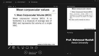 Mean Corpuscular Values (MCV, MCH, MCHC)