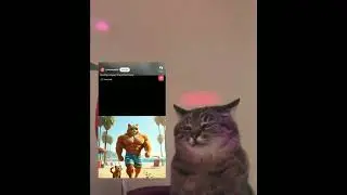 miaw miaw miaw wiaw😓