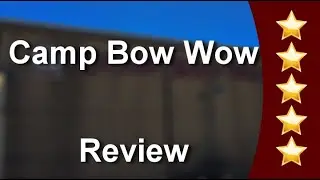 Camp Bow Wow AustinOutstanding5 Star Review by John Meakin