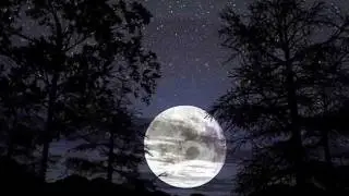 Vincent (Starry Starry Night) - Don McLean