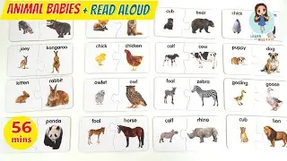 Animal Families for Toddlers | Animal Names | Animals for Toddlers | Baby Animals | First Words